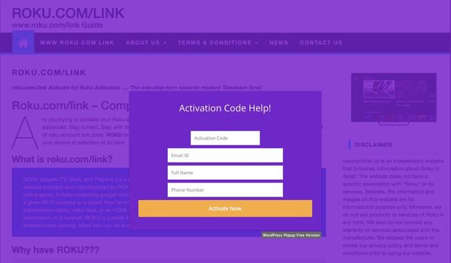 Do You Have to Pay to Activate a Roku? What to Watch