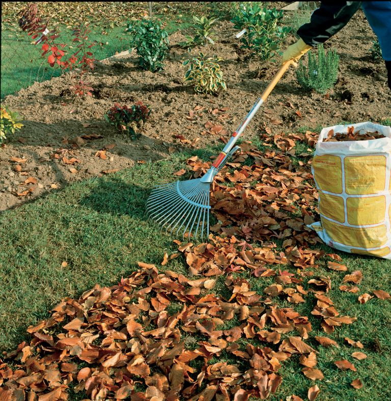 8 easy ways to put autumn leaves to good use in your garden Gardeningetc