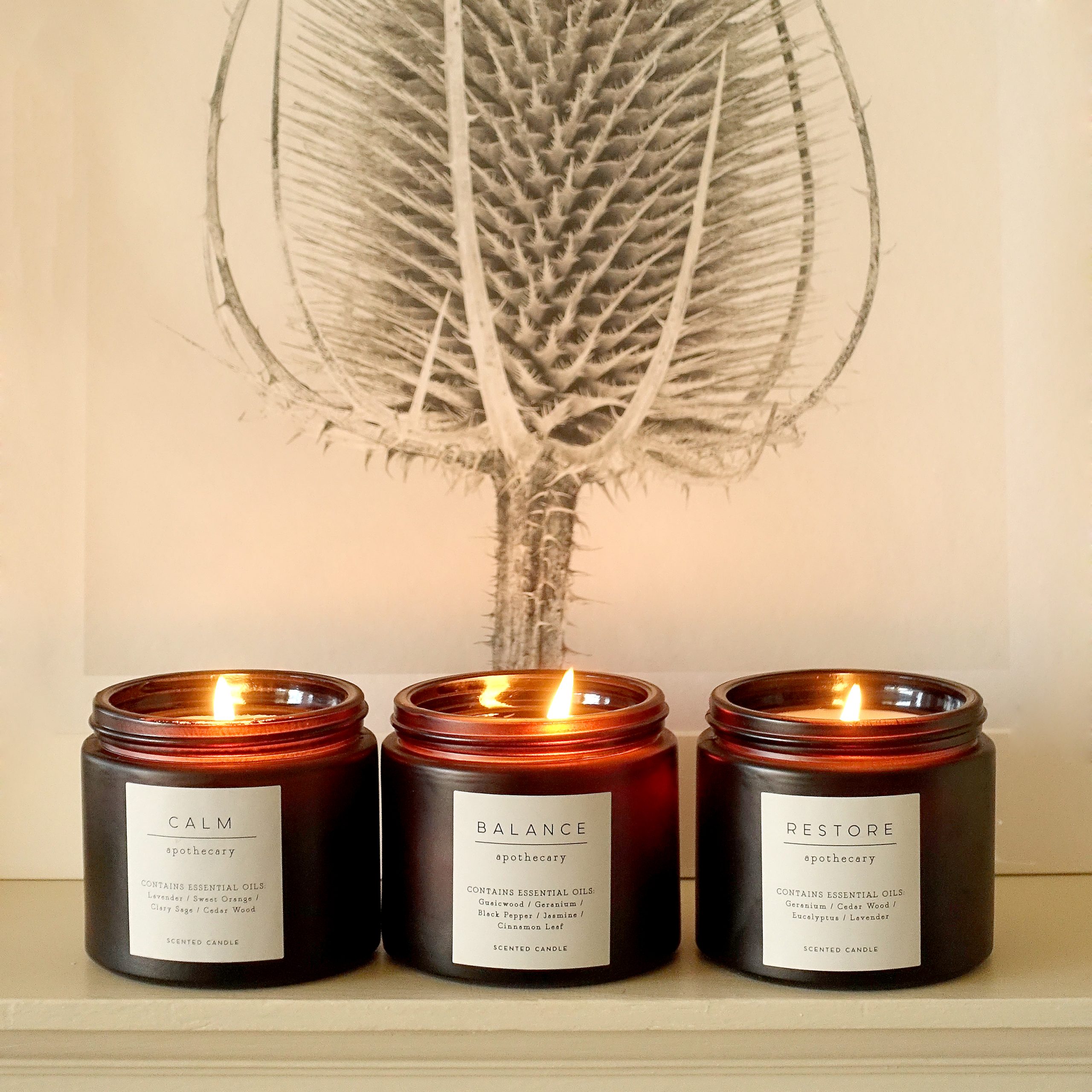 The £7.50 M&S Apothecary Collection candles that will turn your home