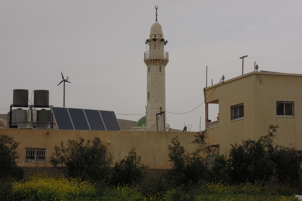 Israel, desert, vineyard