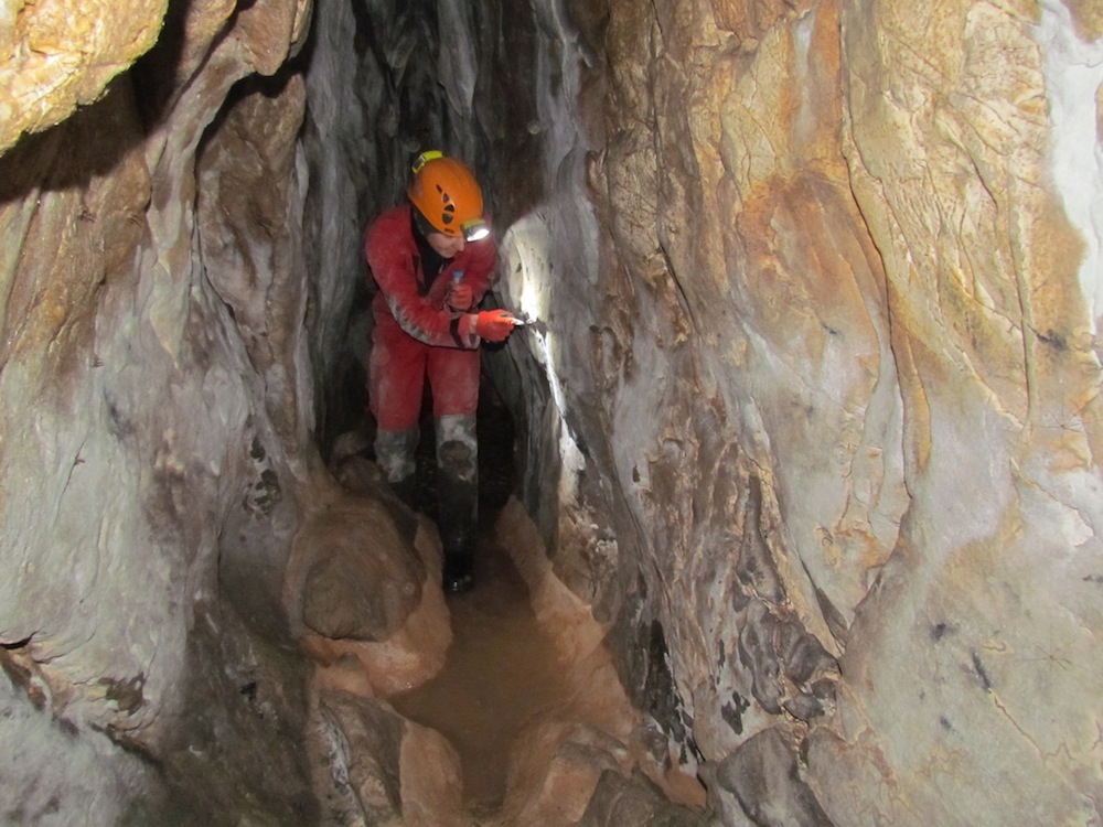 Researchers collected cave beetles in Montenegro, Bosnia and Herzegovina, and Croatia. Here, the scientists are searching for troglobites.