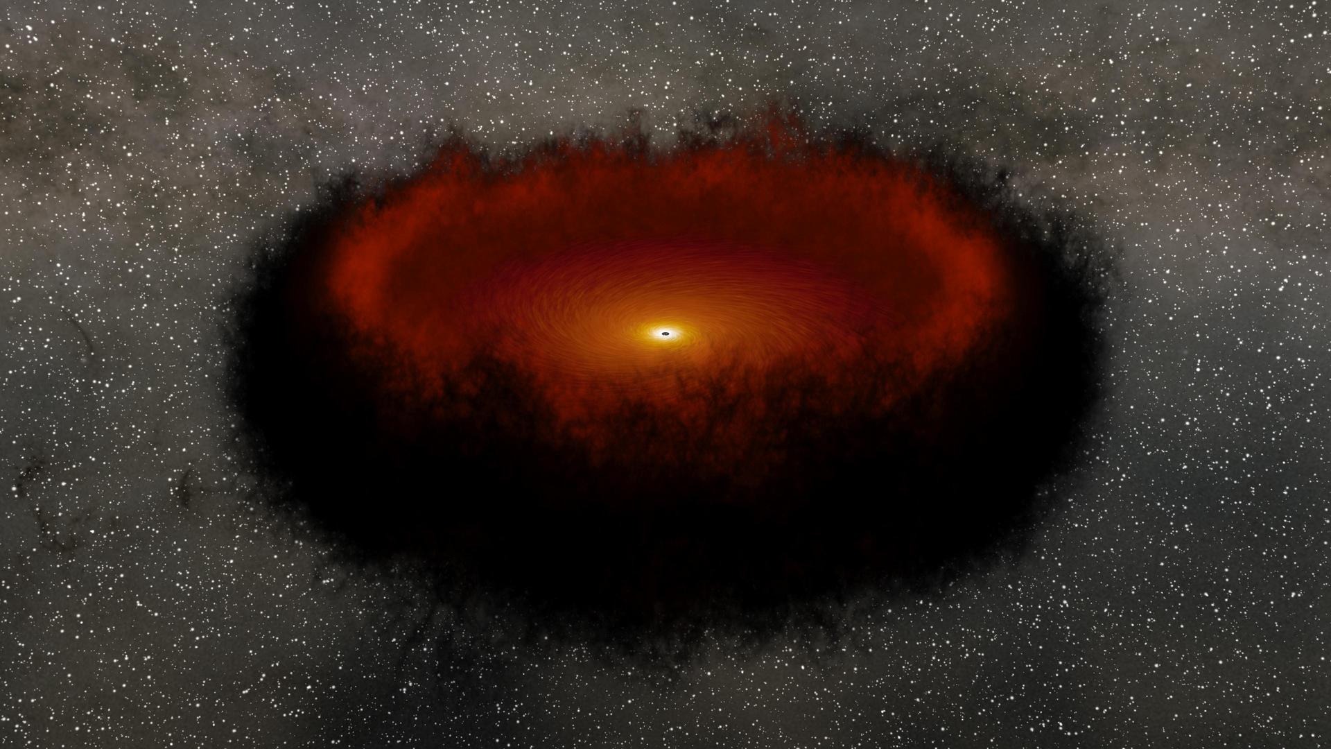 An illustration showing a black hole sucking in material from its accretion disk. The recently detected Camel explosion could have been a black hole�s birth.
