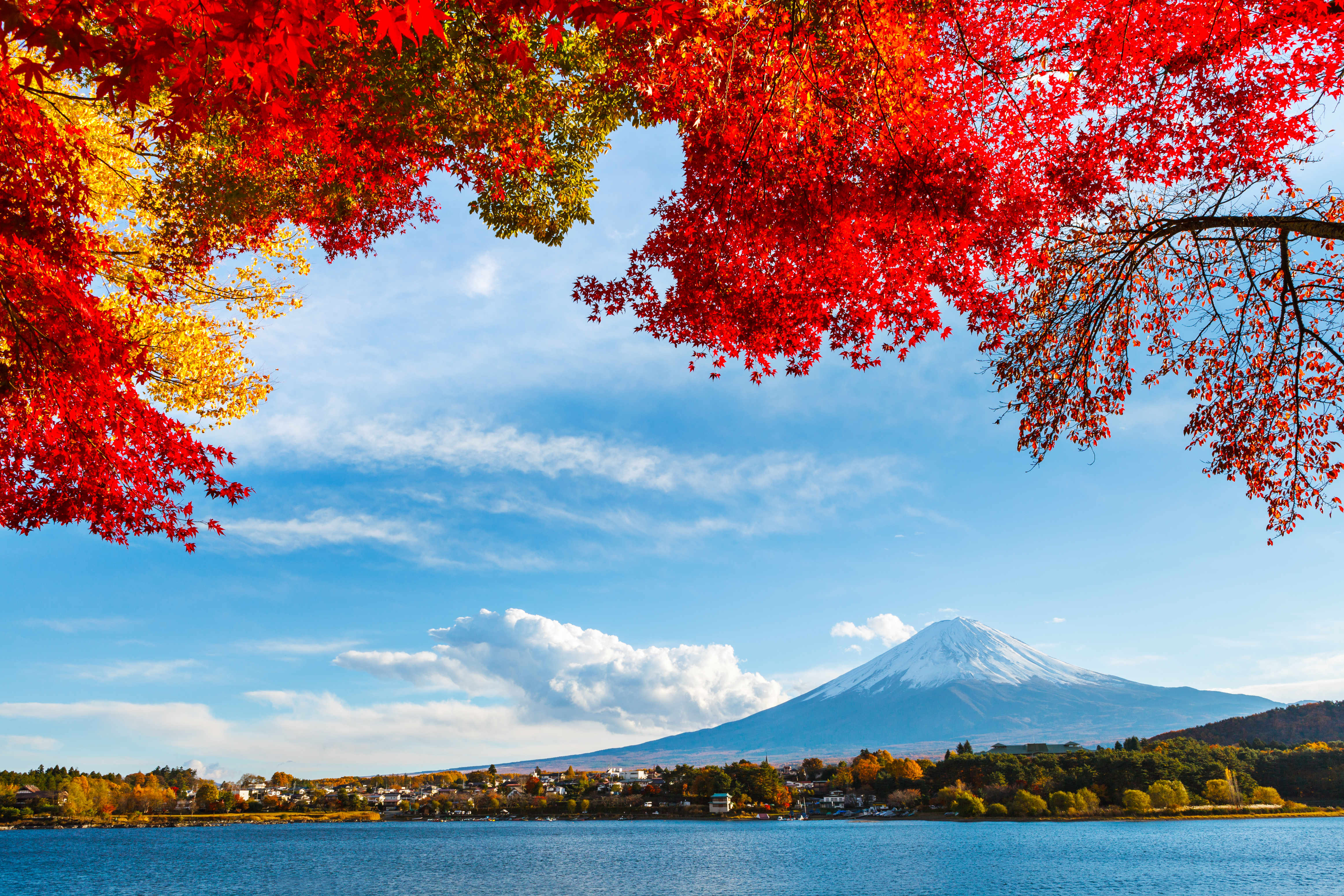 Changing your Virtual Background image –.