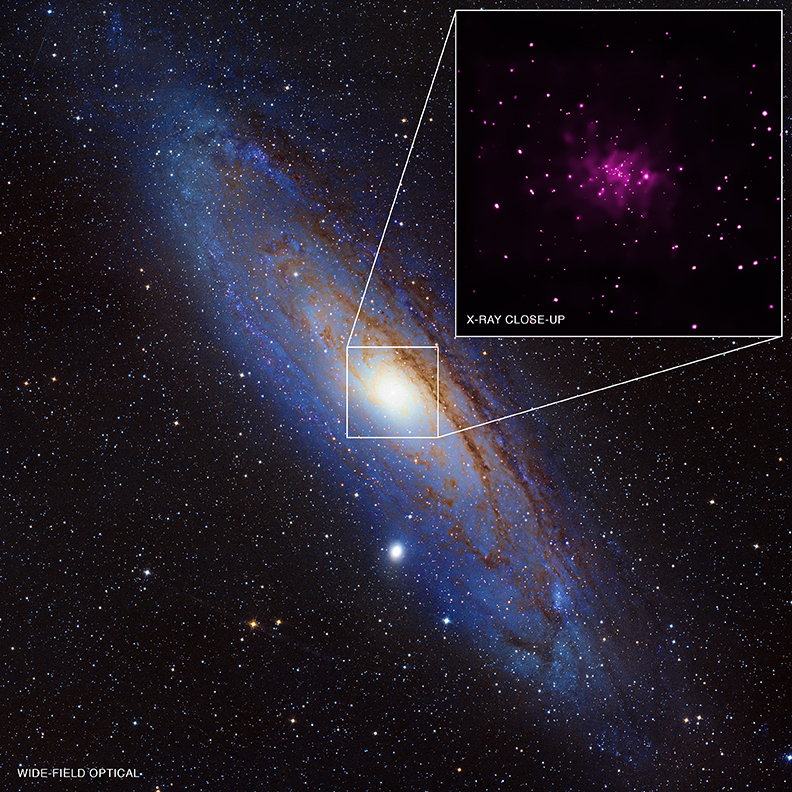 Trove of Black Holes Discovered in Andromeda Galaxy Space