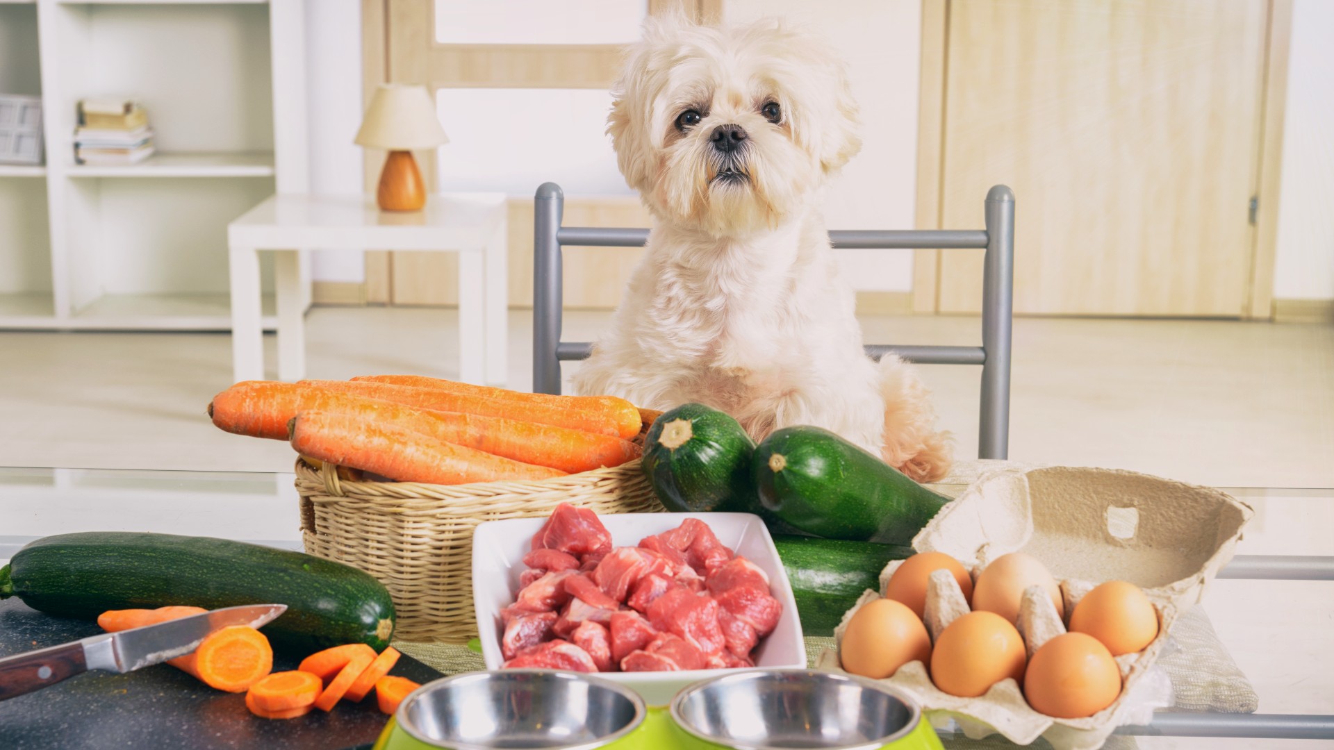 Should I feed my dog homemade puppy food? A vet weighs in PetsRadar