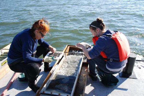 qar-laurel-seaborn-ellen-promise-111010