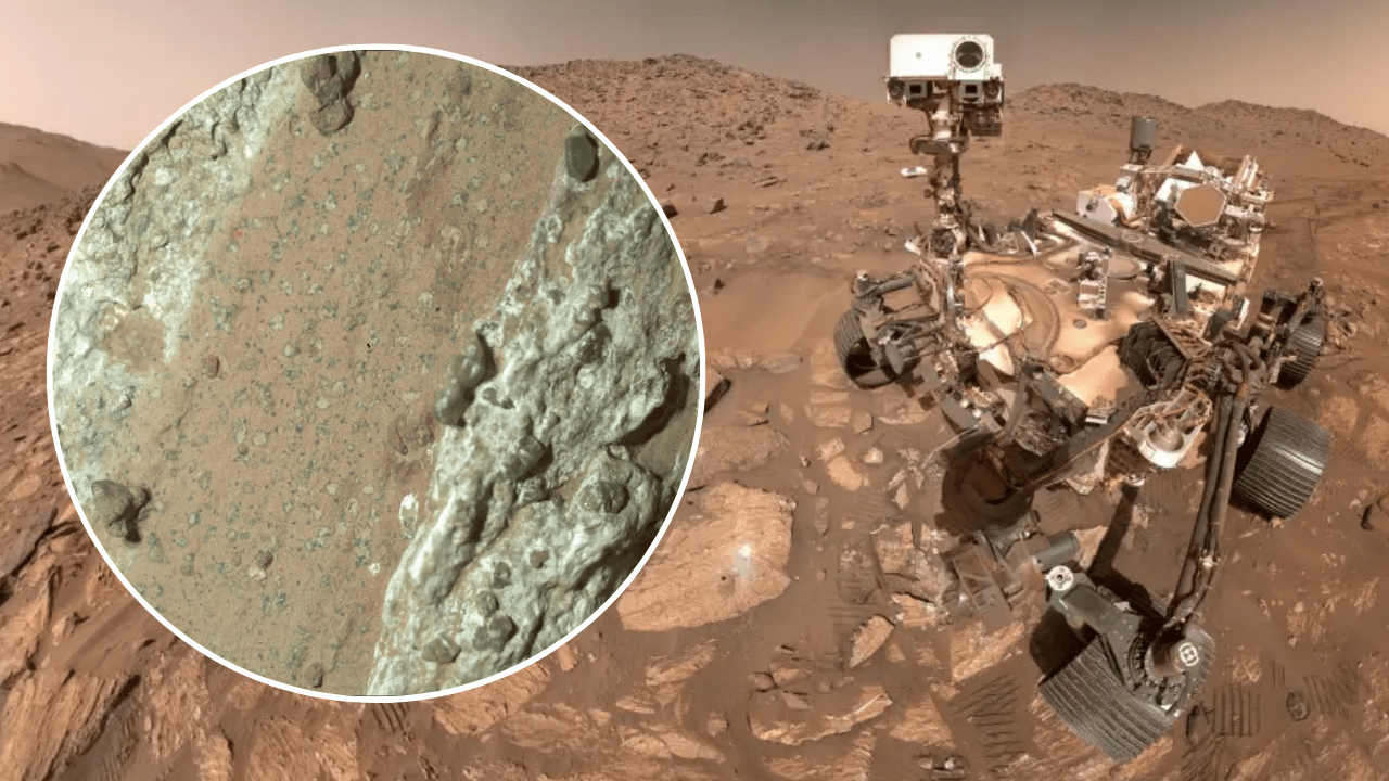 Did NASA's Perseverance rover find evidence of ancient life on Mars