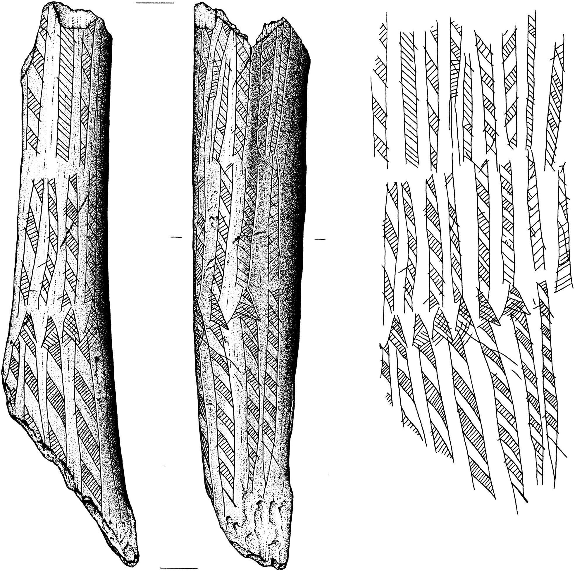 an illustration of the carvings on the antler