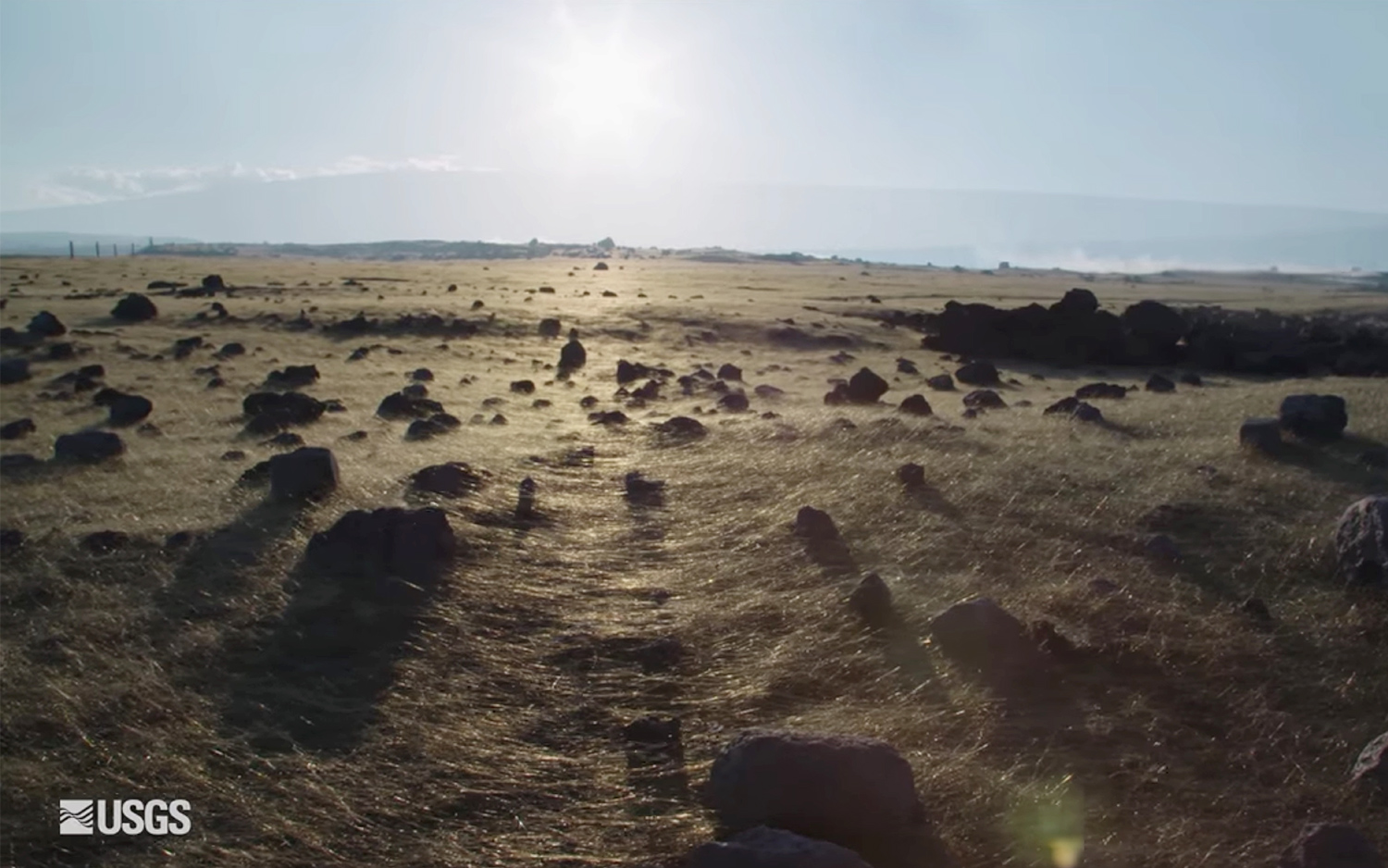 Pele&rsquo;s hair carpets the ground in Hawaii.