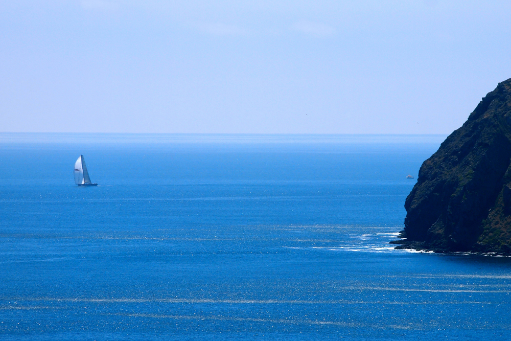 Galapagos of North America, whale watching spots, endangered ecosystems, national parks