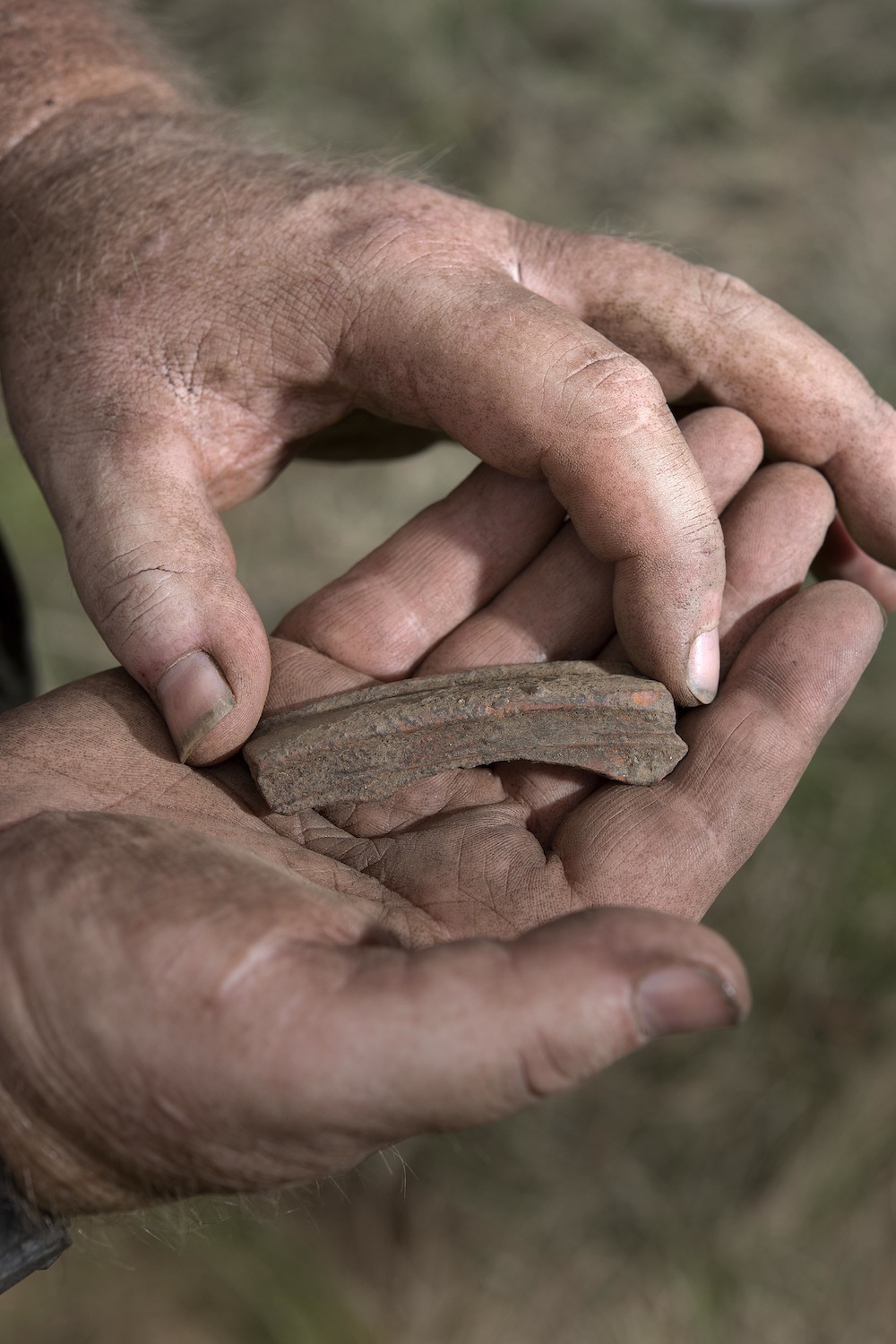 Tableware Fragments at Tintagel