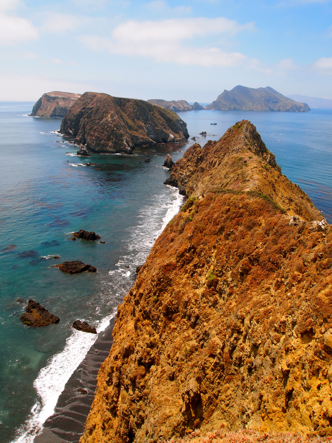 Galapagos of North America, whale watching spots, endangered ecosystems, national parks