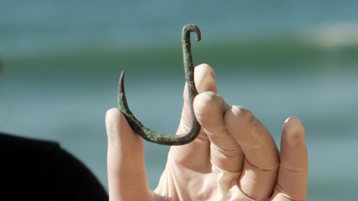 Ancient fish hook suggests sharks were hunted off Israel's coast 6,000