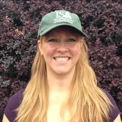 How to stop your Christmas tree from shedding needles Homes & Gardens