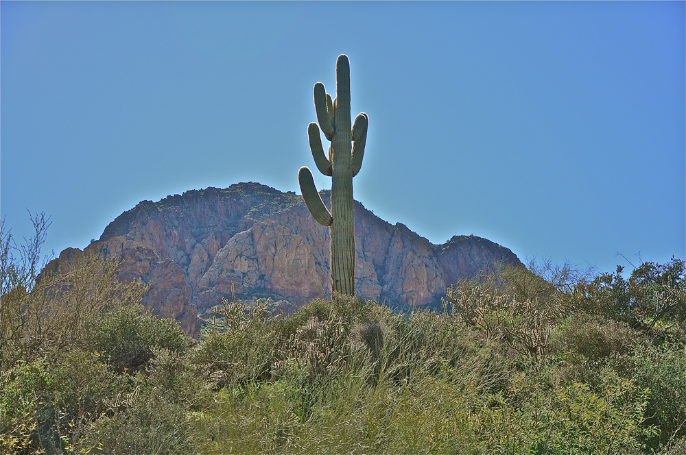 American west landscapes