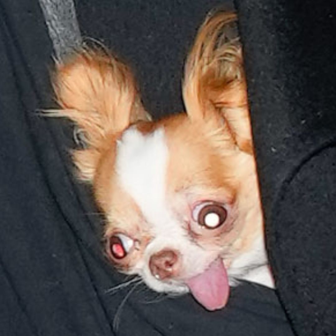 Demi Moore and Melanie Griffith Show Us How to Arrive…