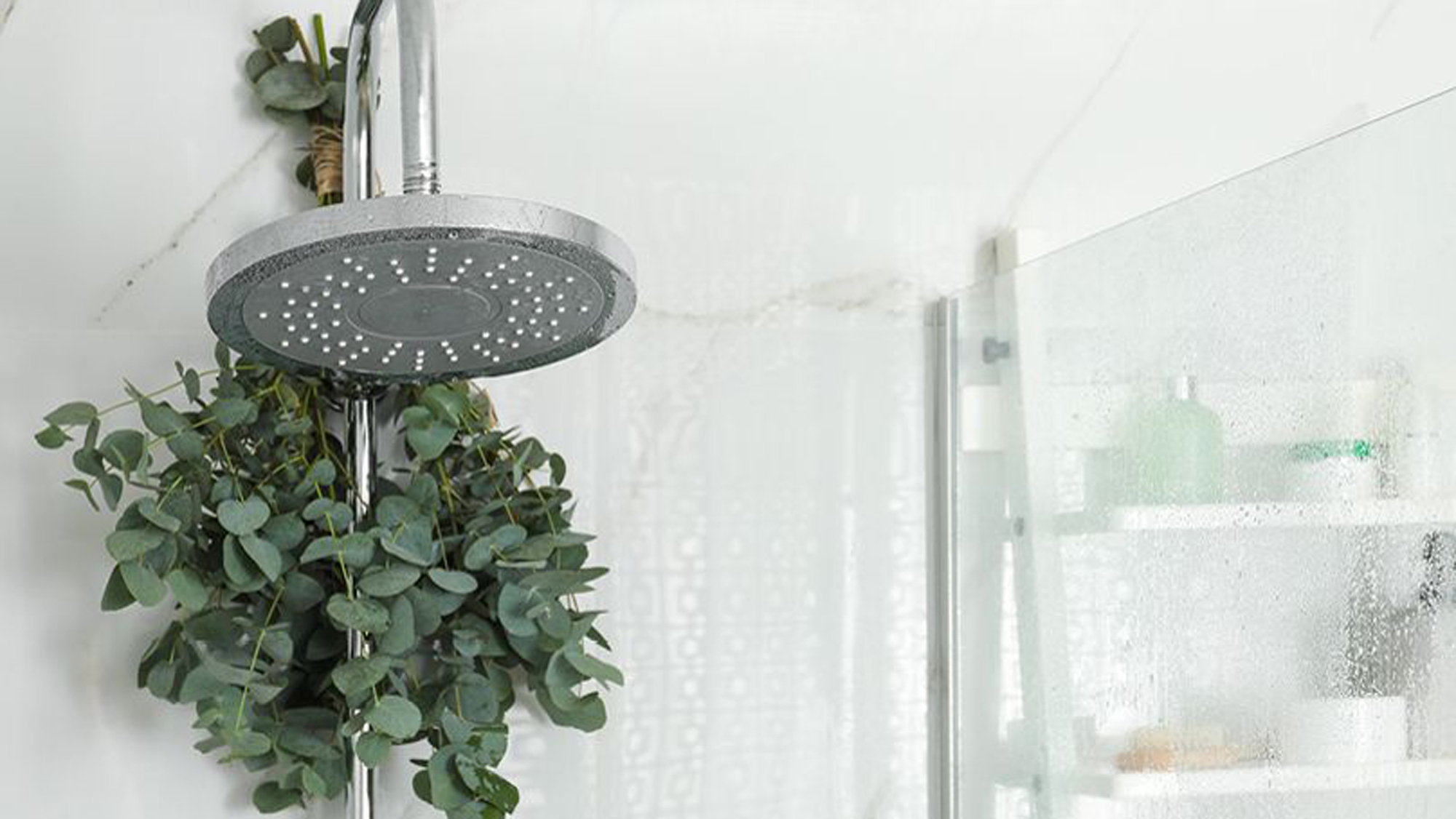 TikTokers are hanging eucalyptus in their shower for health reasons