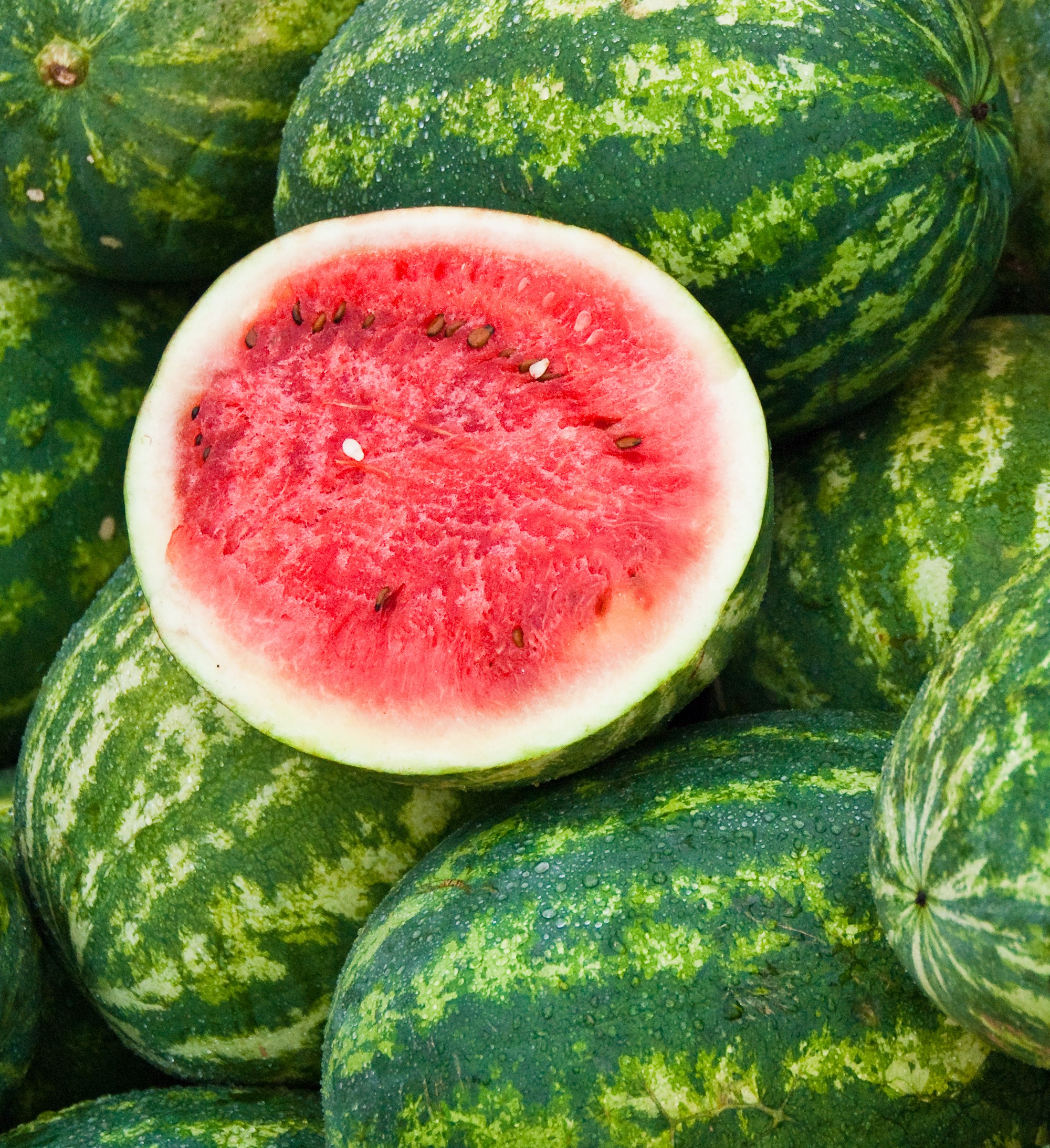 Using melon to deter slugs 3 fast ways to keep them away Homes & Gardens