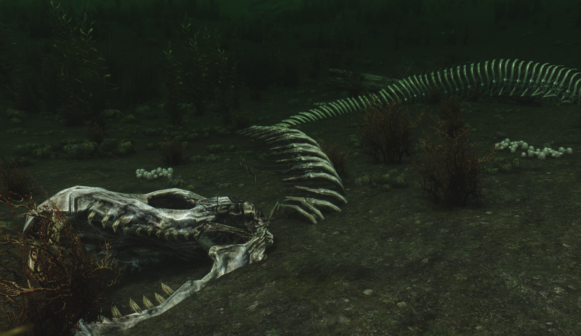 Depths of Skyrim gives the sea a muchneeded makeover PC Gamer