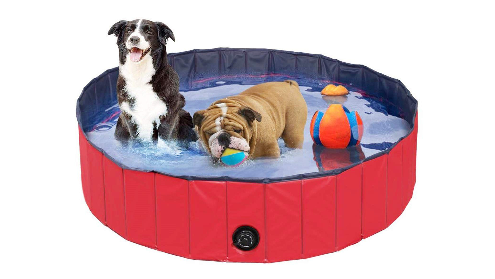 Pet paddling pools get these delivered tomorrow with Amazon Prime T3