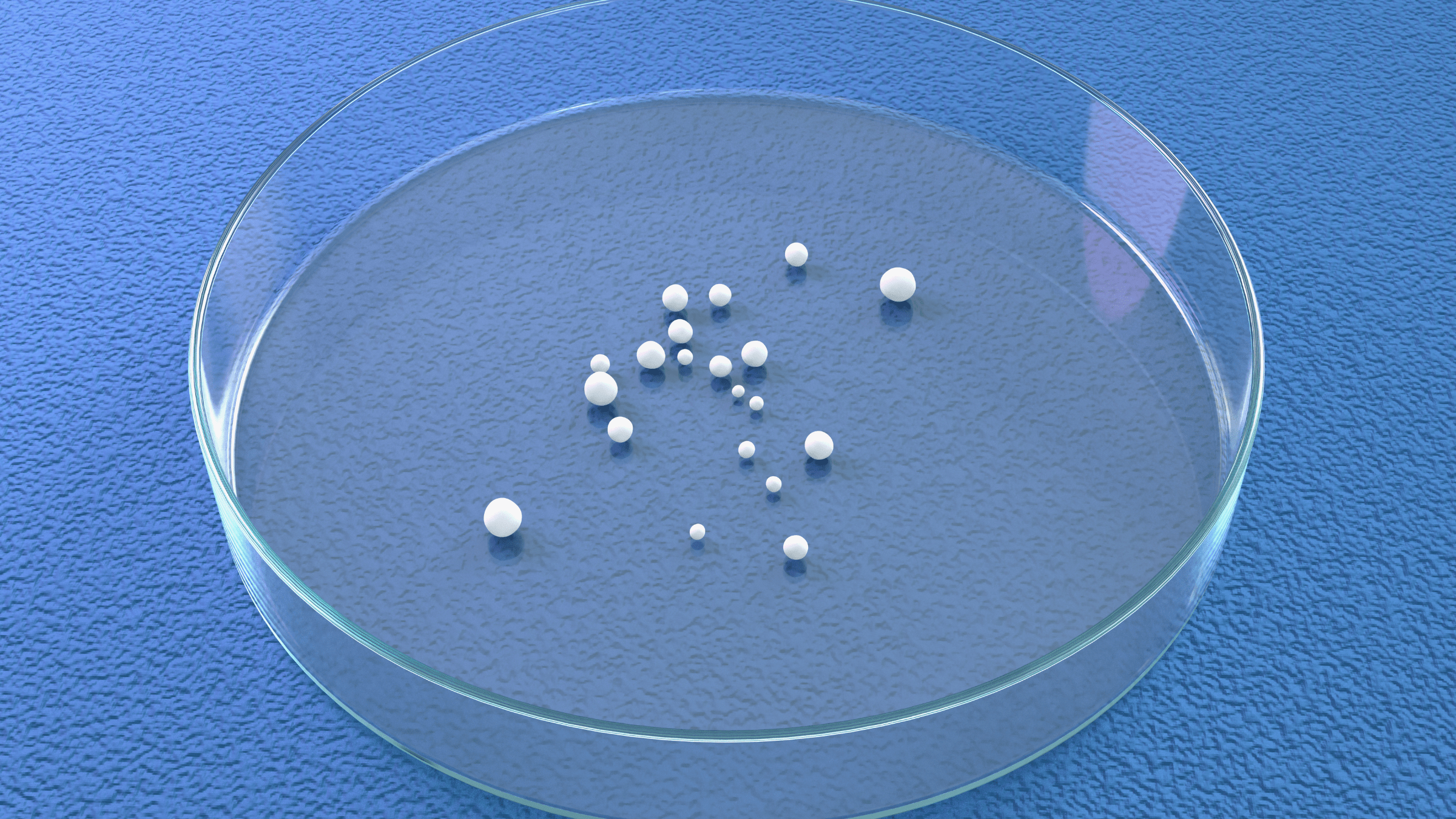Computer illustration of brain organoids in a petri dish against a blue background. The organoids appear like mini white blobs.