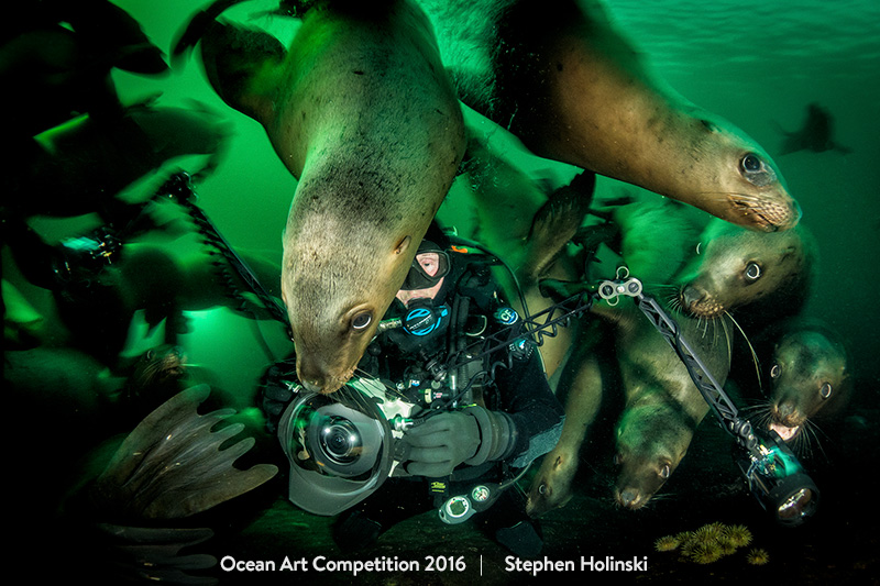 This shot of curious Steller sea lions (<!-- raw HTML omitted -->Eumetopias jubatus<!-- raw HTML omitted -->) won the compact wide-angle category of the 2016 Ocean Art Competition.