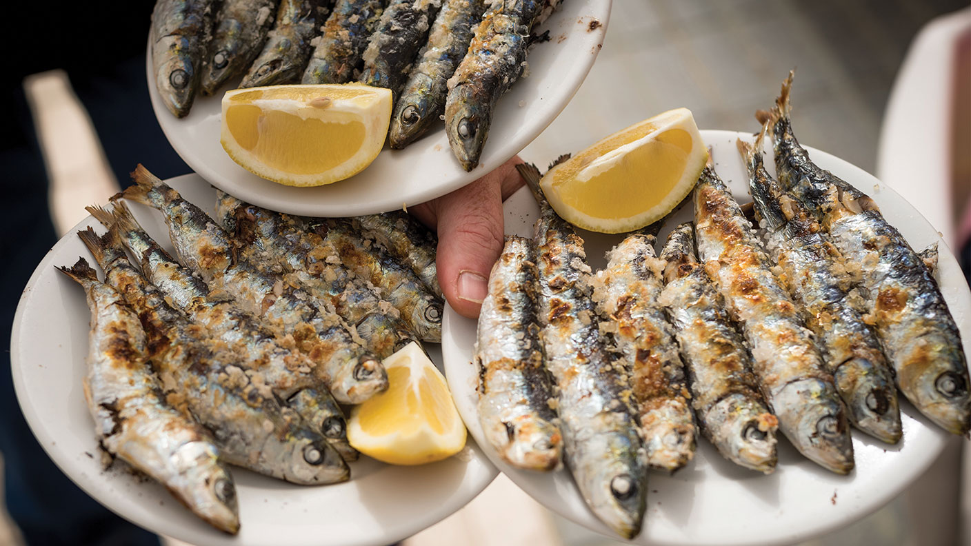 What sardines can teach investors about today's markets MoneyWeek