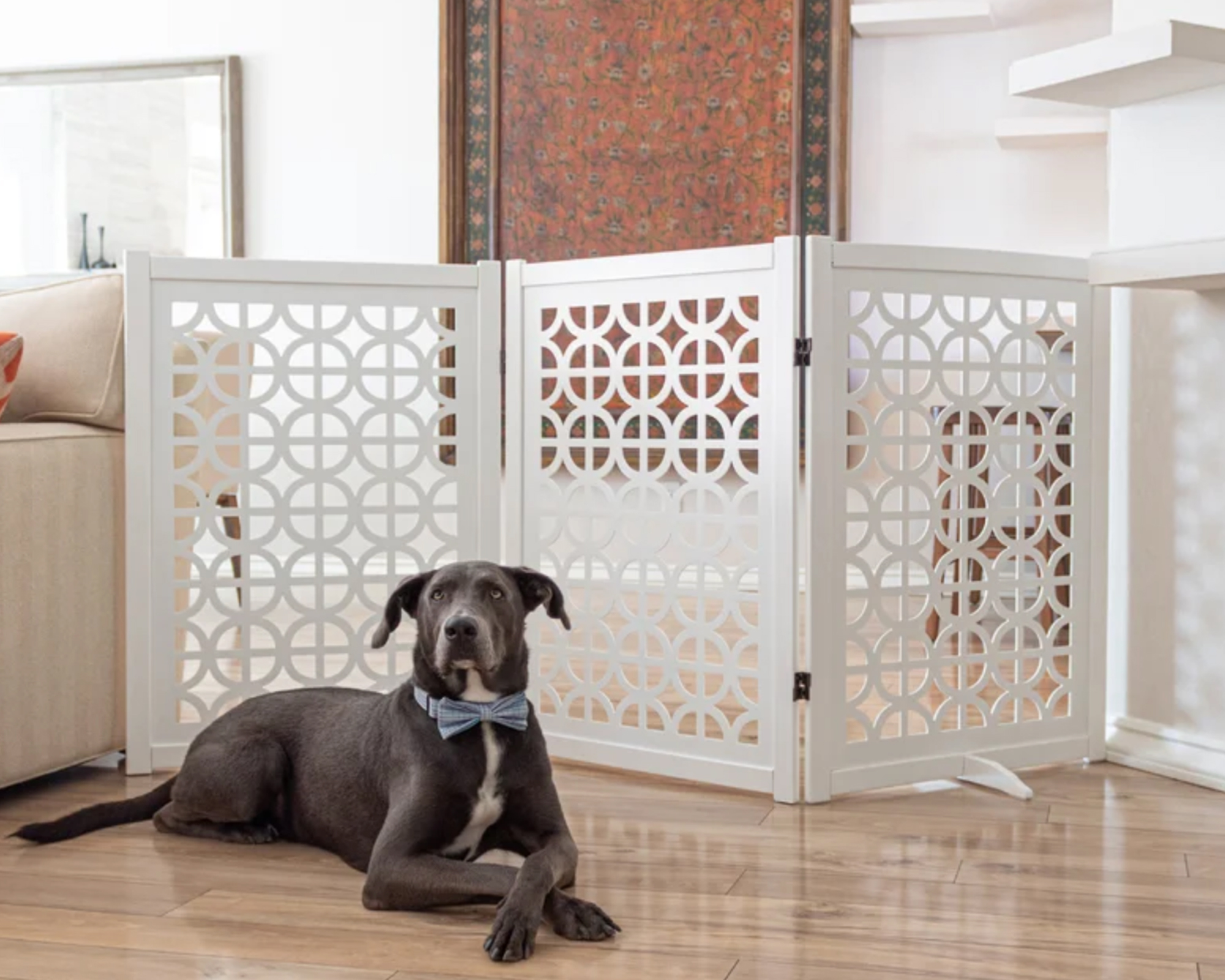 6 dog gate ideas DIY a stylish pet barrier Real Homes