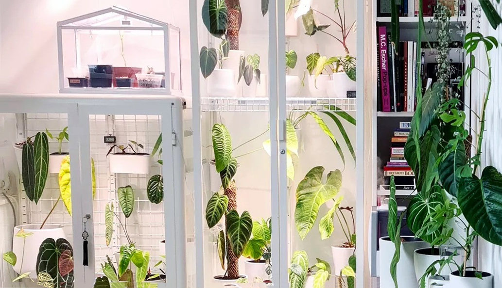 This IKEA greenhouse hack will turn your home into a jungle