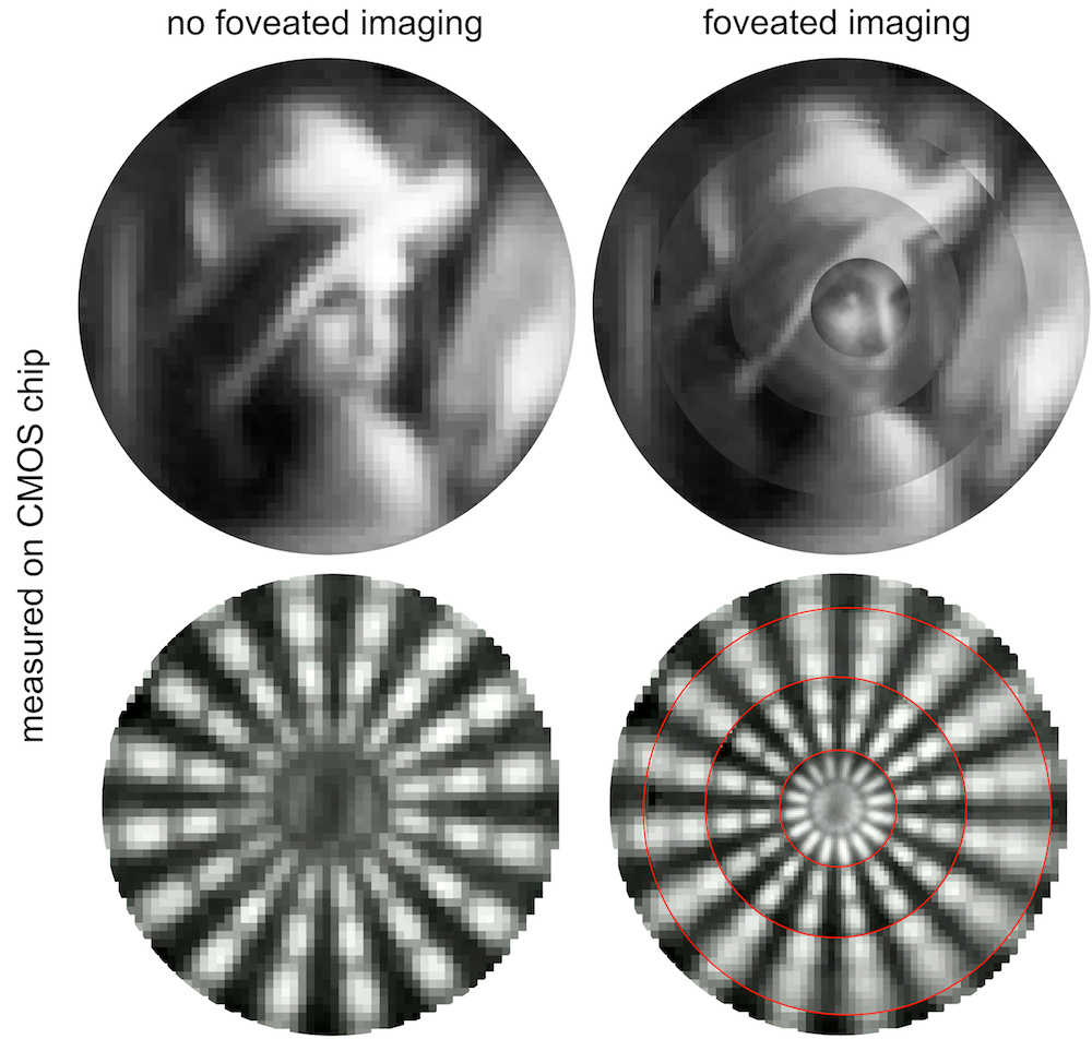 The top images are of a commonly used test image called &ldquo;Lena.&rdquo; The foveated image shows increased detail around the woman’s eye. The bottom images demonstrate foveated imaging performance using a Siemens star test target.