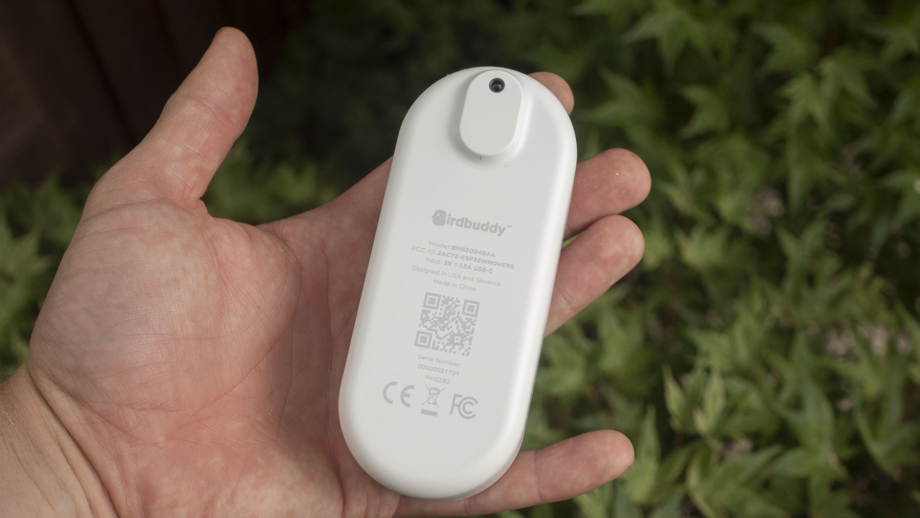 Bird Buddy Smart Bird feeder review