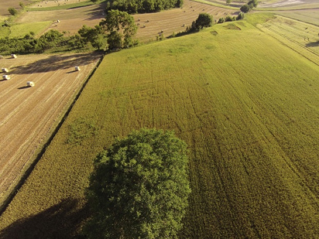 Aerial drone photo of the Le Pianelle area in the Apennine Mountains of Italy. A grid of features is visible in the middle of the picture.