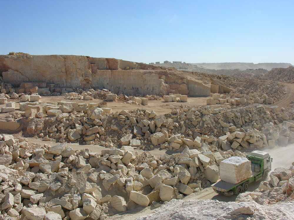 animals, ancient whales, whales transitioning from land to water, marine mammals, toothed whales, baleen whales, whale hearing, whale sense of smell,