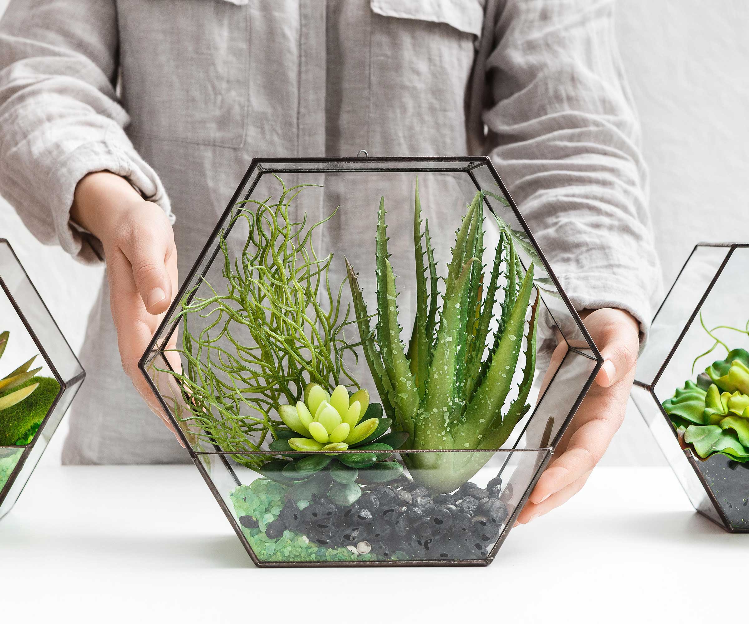 Terrarium care tips on how to look after your display Homes & Gardens