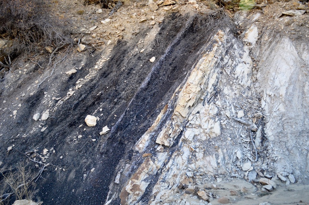 A coal seam exposed at the edge of the Kaiparowits Plateau.