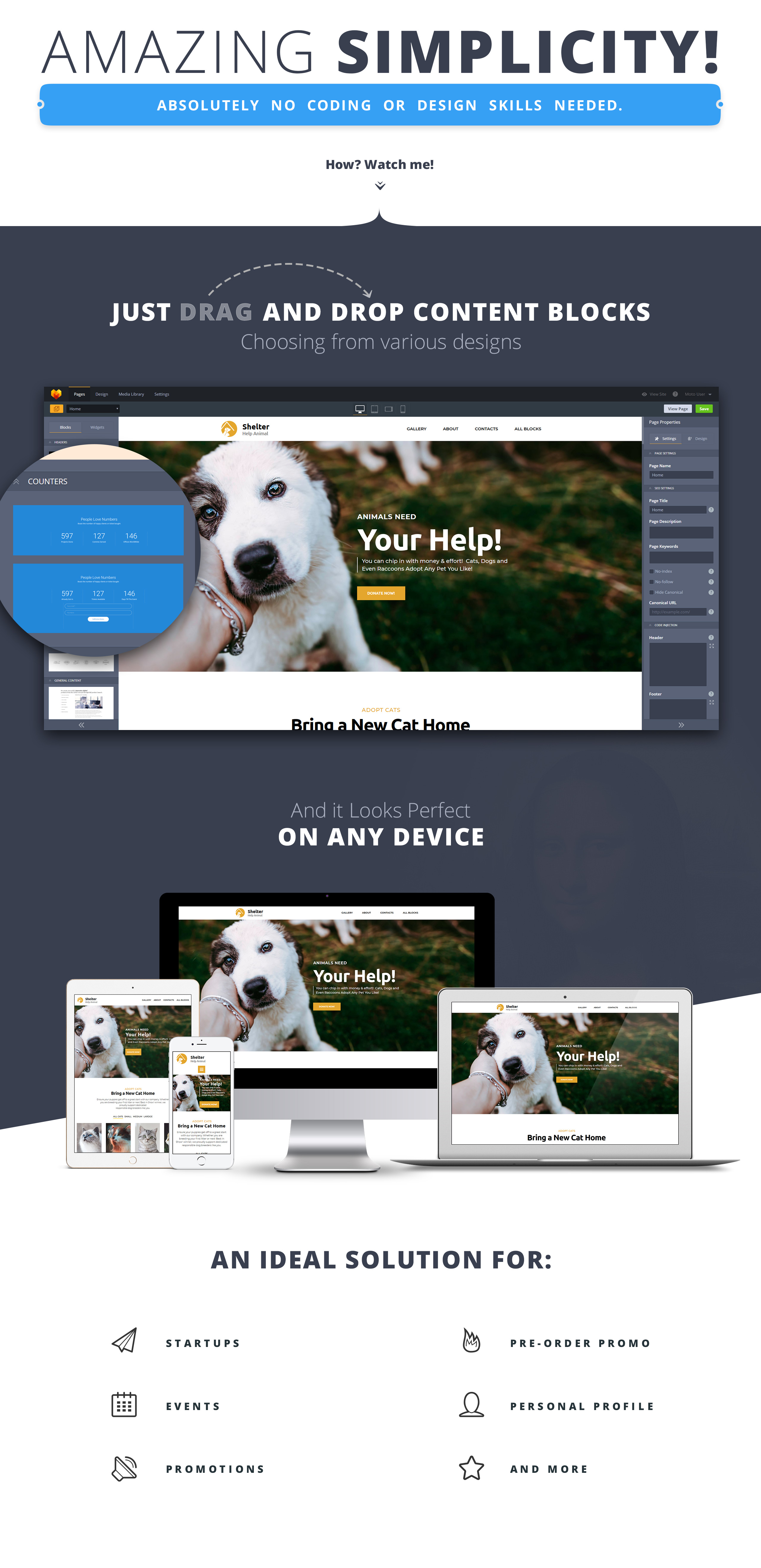 Free Template for Pet Adoption Website MotoCMS