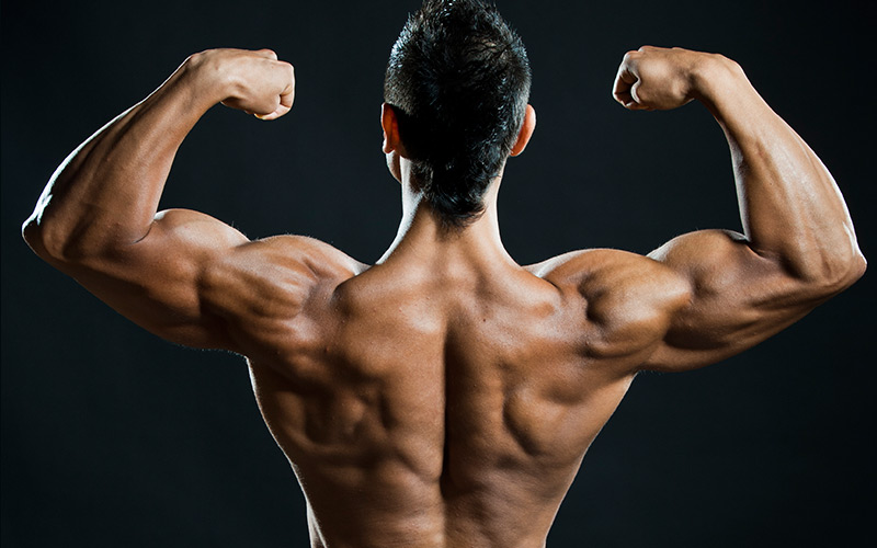 5 Most Effective Exercises To Build Back Muscle Muscle & Strength