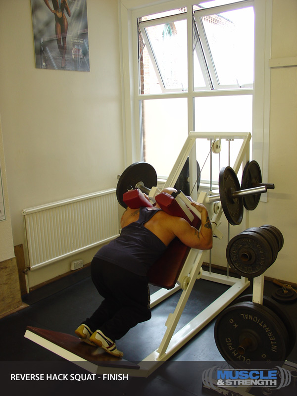 Reverse hack Squat Video Exercise Guide & Tips
