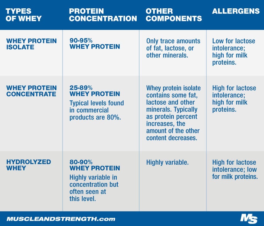 Whey Protein Expert Guide Learn Everything About Whey Protein