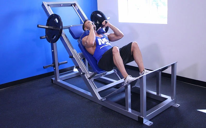 How To Adjust Hack Squat Machine Life Hacks