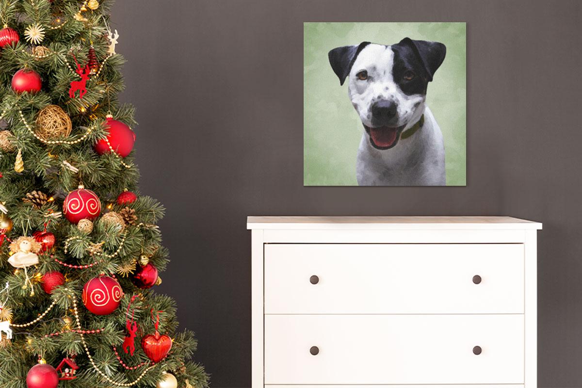 6 Ways To Make Your Rescue Dog Feel Comfortable At Home Mutually