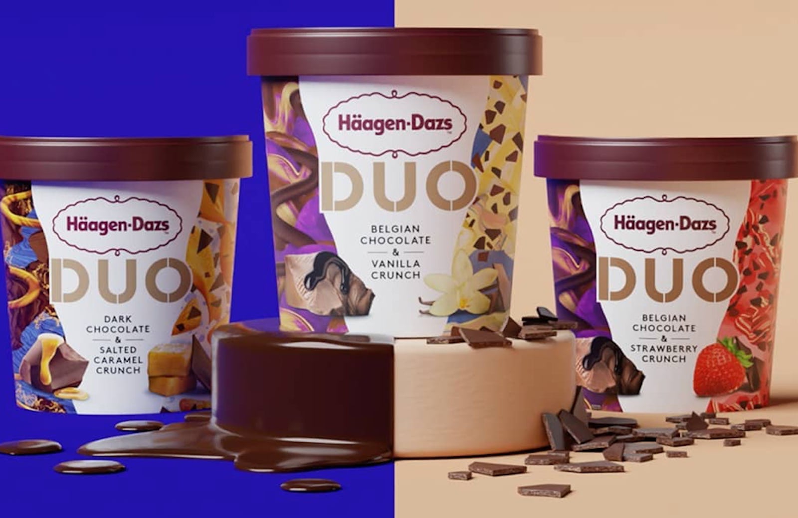 HaagenDazs A Premium Ice Cream Brand Worth The Price My Catholic