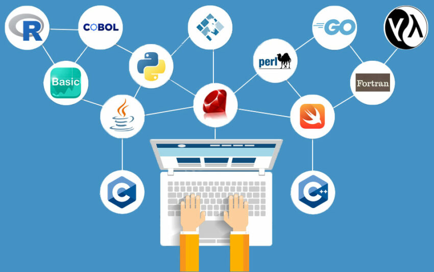 Your Comprehensive Guide to 5 Types of Programming Languages Beaver