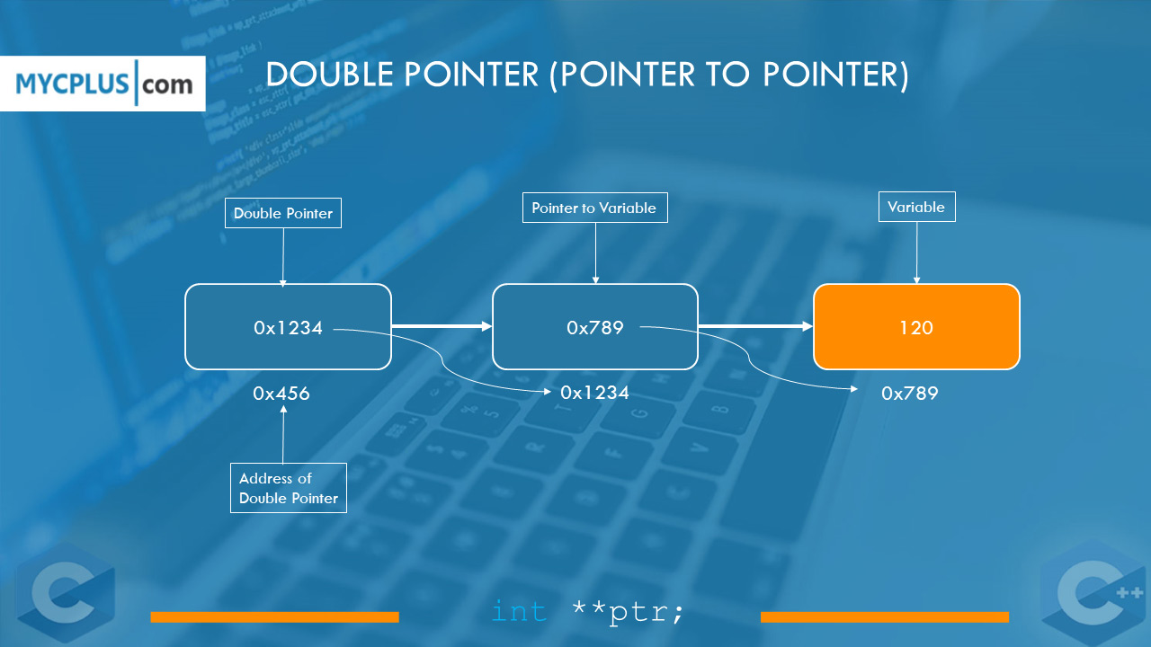 A Complete Guide to using Double Pointer in C PointertoPointer MYCPLUS