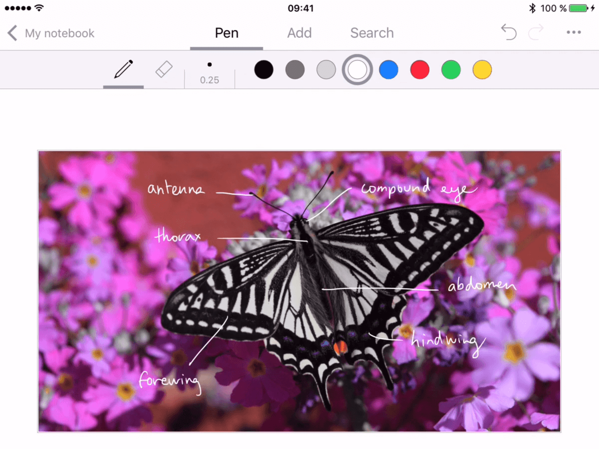 Nebo The best way to take notes MyScript
