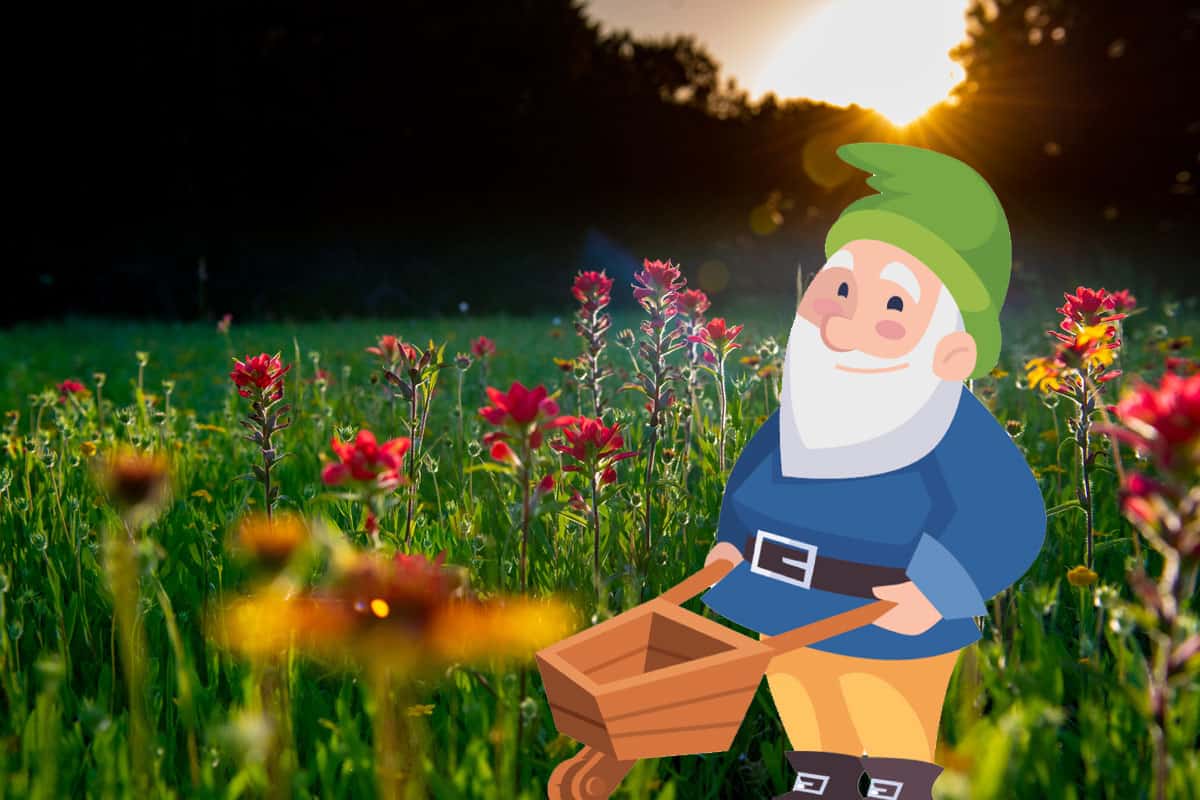 What Do Gnomes Eat? Myth Nerd