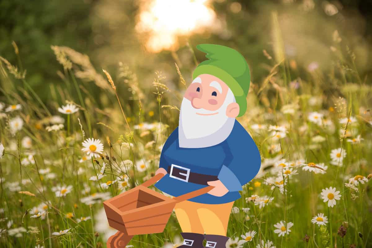 Do Gnomes Bring Good Luck? Myth Nerd