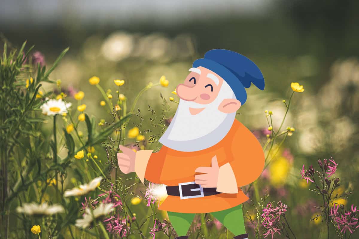 Gnome Abilities and Powers What Can They Do? Myth Nerd