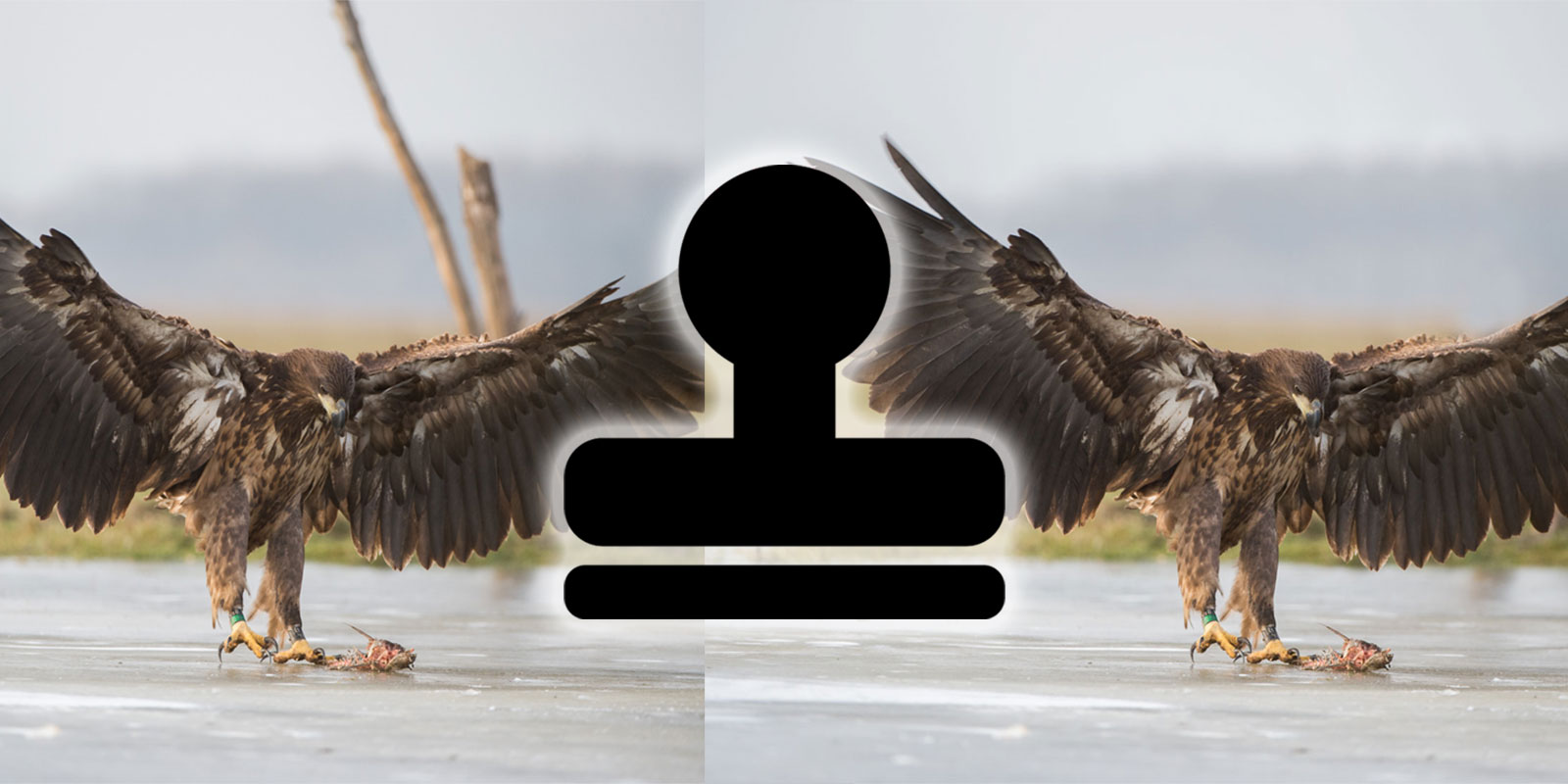 How to Use the Clone Stamp in Removing Objects