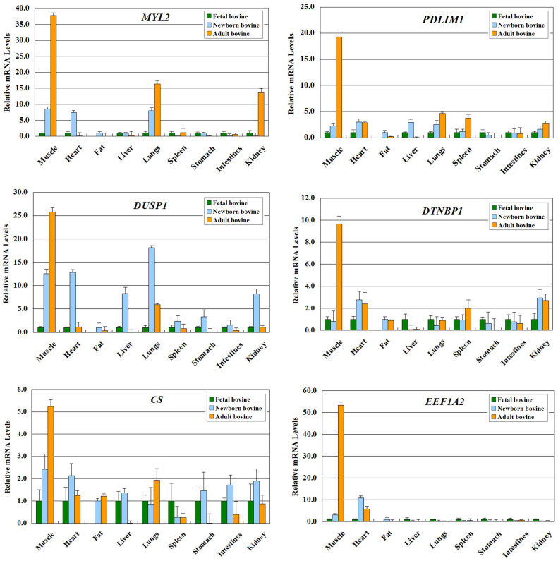 Genomewide DNA Methylation Profiles and Their Relationships with mRNA